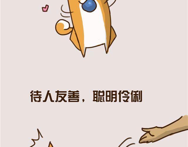 一只沉默的狗2