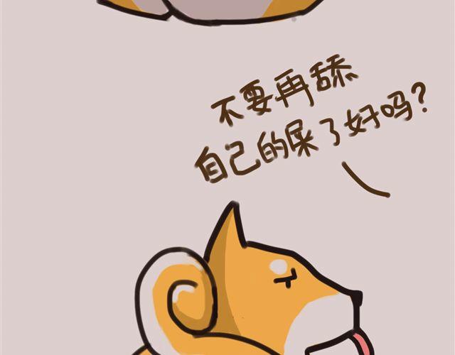 狗狗的喜好真是让人受不了23