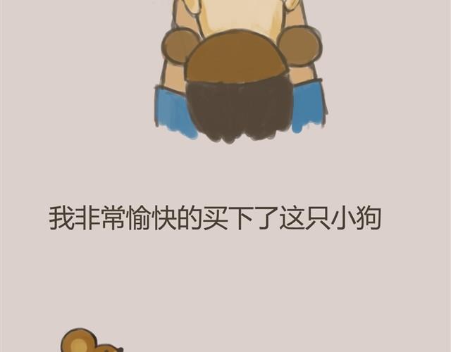 我是大熊，我的柴犬叫安妮17