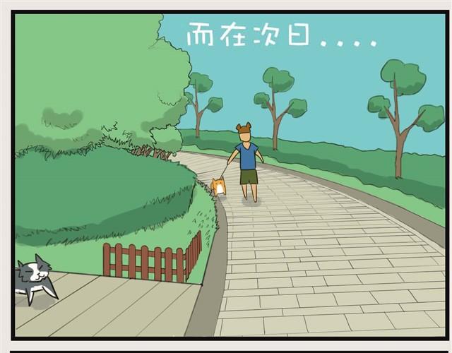 安妮学会握手了！21