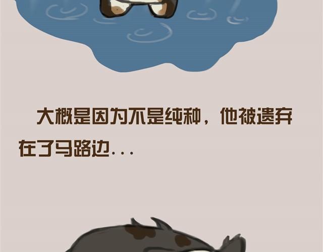 真是越来越活泼了呢33