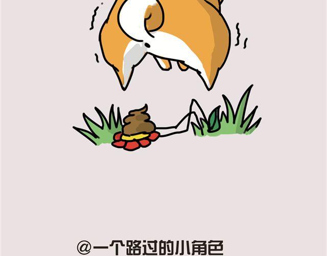 狗狗的喜好真是让人受不了30