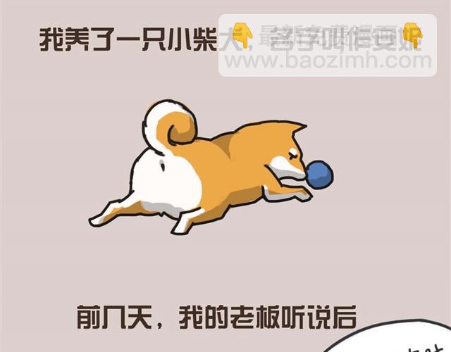 带安妮去公司于是空气凝固了1