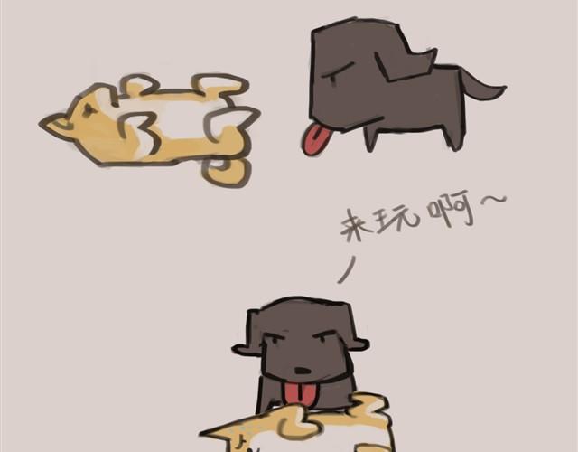 真是越来越活泼了呢14