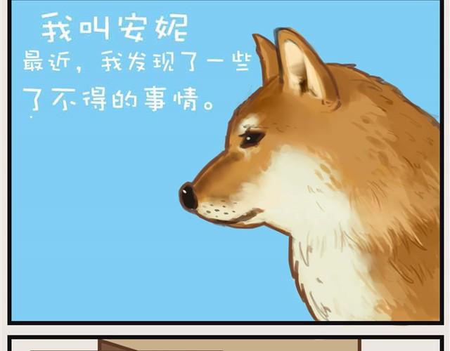 大熊你为什么不带我出门！1