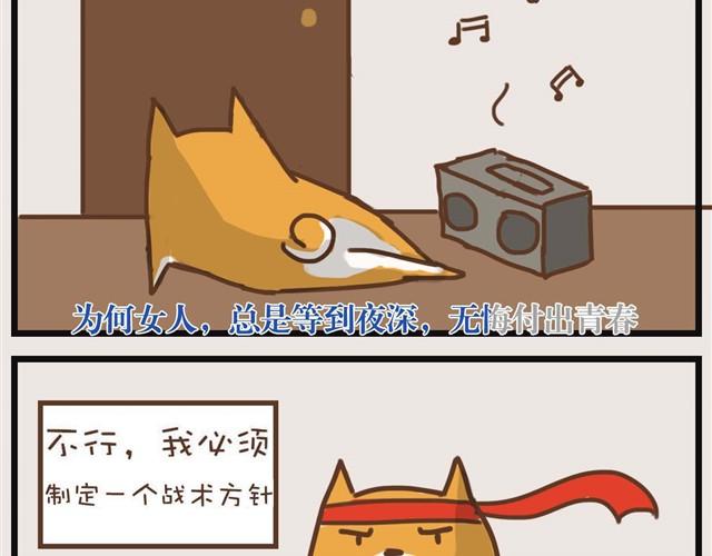 大熊你为什么不带我出门！11