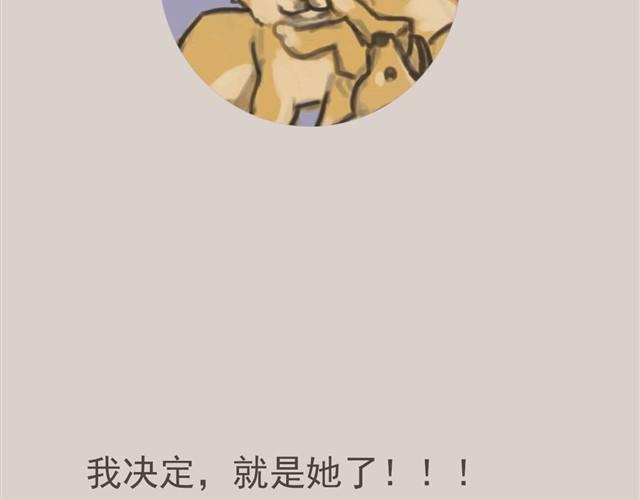 我是大熊，我的柴犬叫安妮10