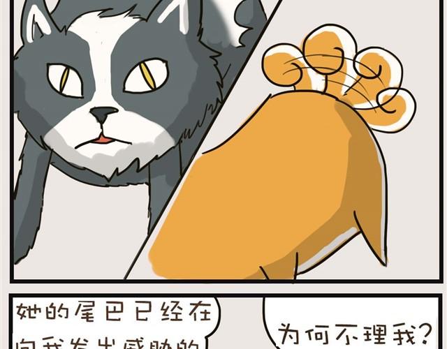 安妮学会握手了！26