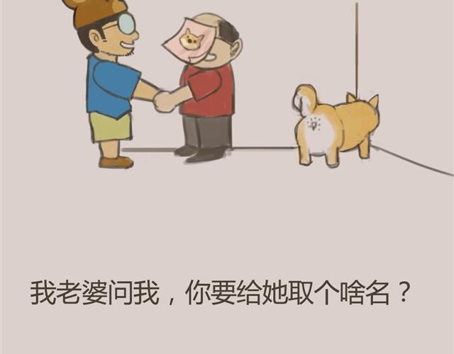 我是大熊，我的柴犬叫安妮18