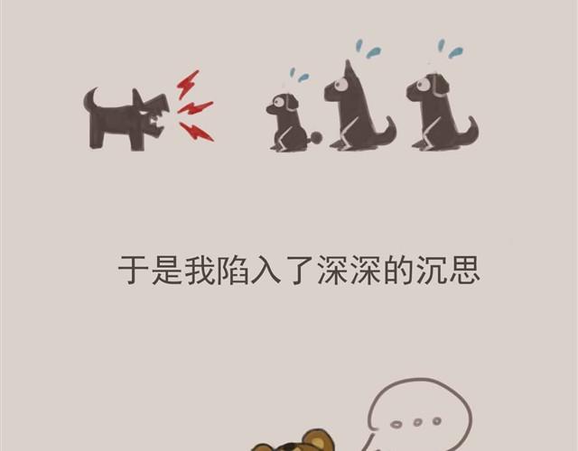 我是大熊，我的柴犬叫安妮5