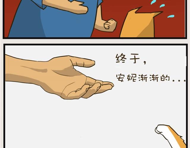 安妮学会握手了！7