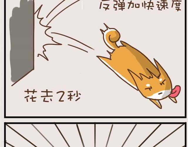大熊你为什么不带我出门！22