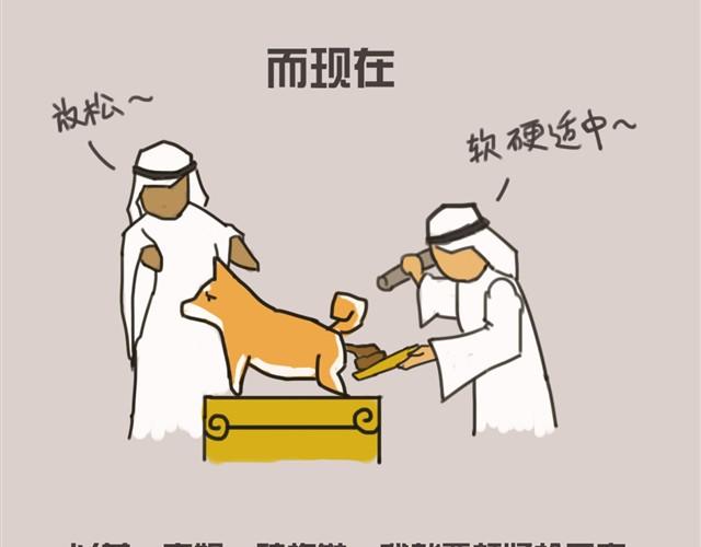 我还是喜欢尿在原来的客厅7