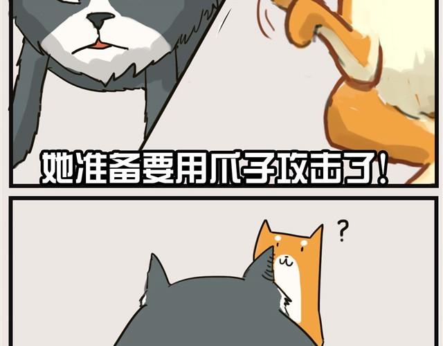 安妮学会握手了！34
