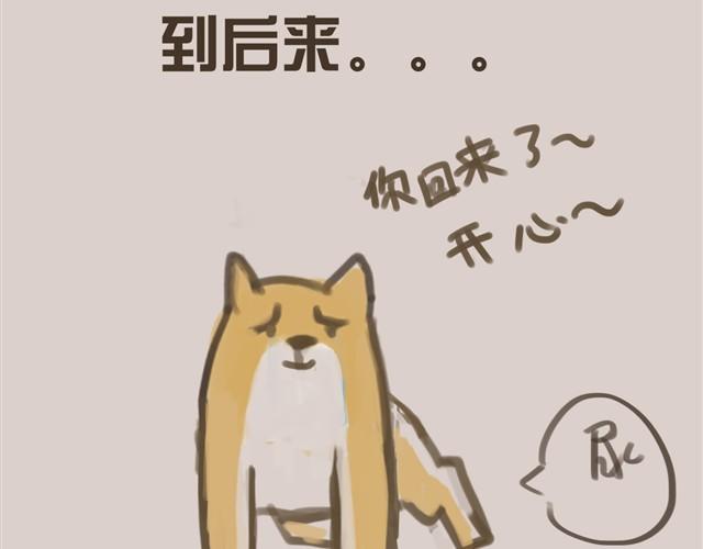 我是大熊，我的柴犬叫安妮30