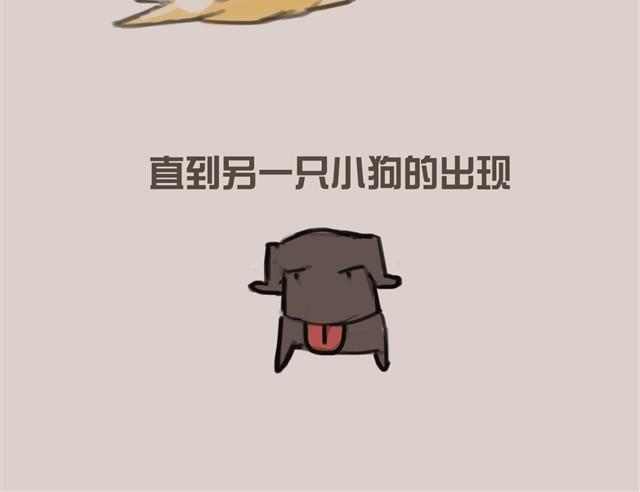 真是越来越活泼了呢12