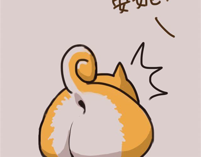 狗狗的喜好真是让人受不了22