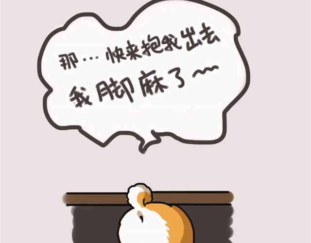专业守门员安妮4
