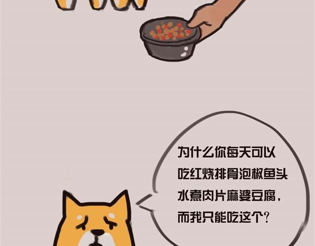 专业守门员安妮7