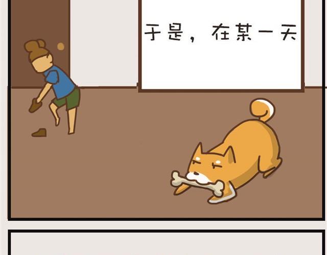 大熊你为什么不带我出门！20