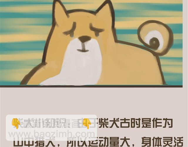 真是越来越活泼了呢20