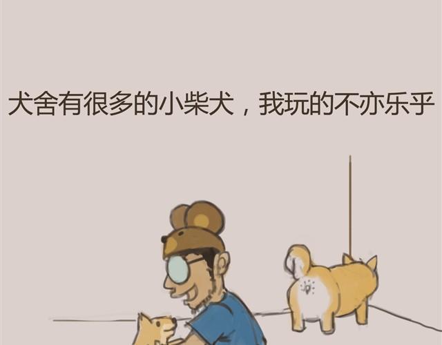 我是大熊，我的柴犬叫安妮14