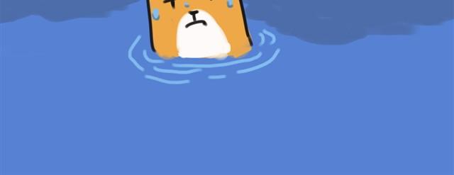 我还是喜欢尿在原来的客厅18
