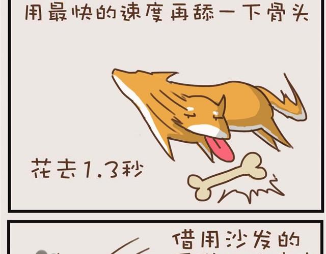 大熊你为什么不带我出门！21