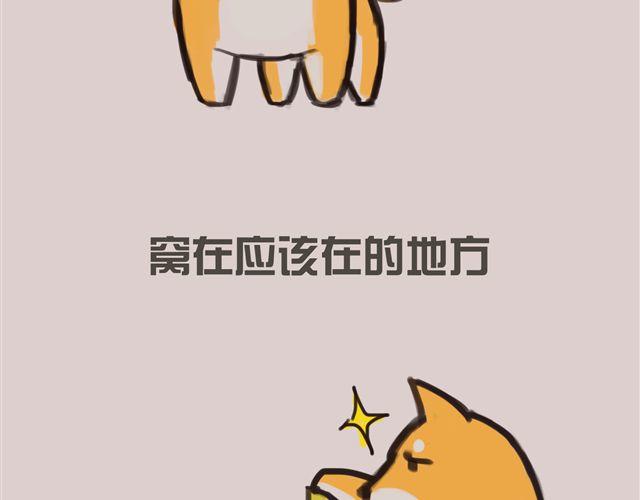 一只沉默的狗21