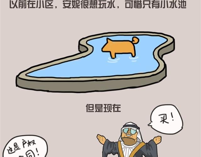 我还是喜欢尿在原来的客厅14