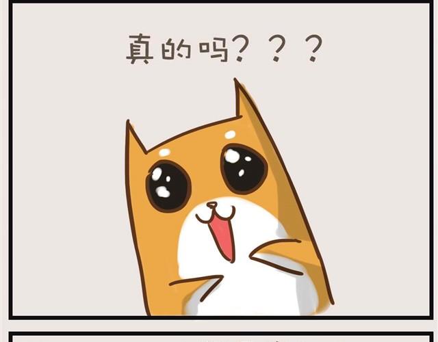 想和大家一起玩26