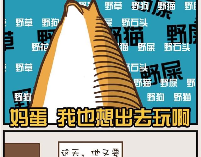 大熊你为什么不带我出门！5