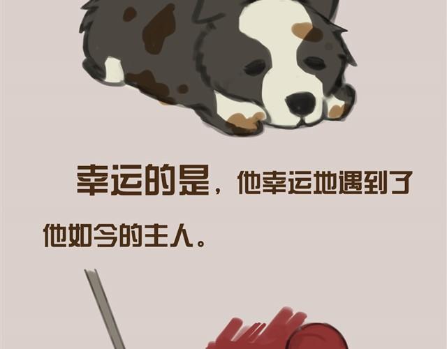 真是越来越活泼了呢34