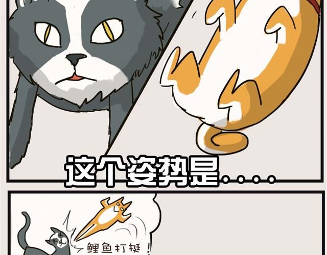 安妮学会握手了！29