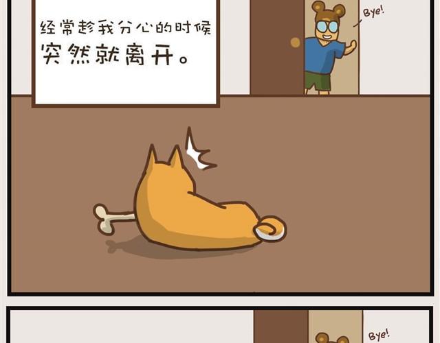 大熊你为什么不带我出门！3
