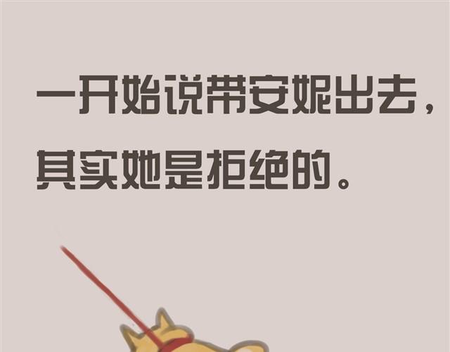 我是大熊，我的柴犬叫安妮39