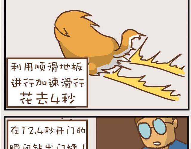 大熊你为什么不带我出门！24