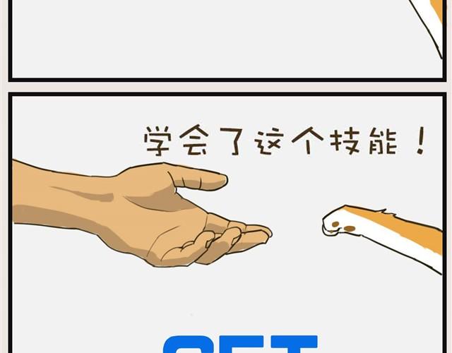 安妮学会握手了！8