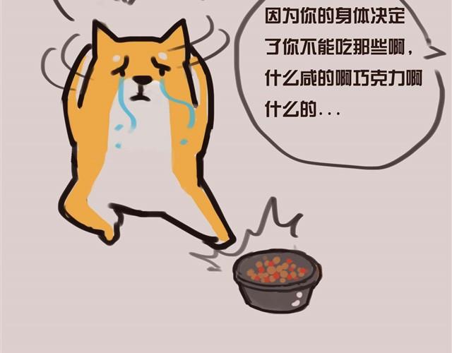 专业守门员安妮9