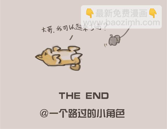 我是大熊，我的柴犬叫安妮51