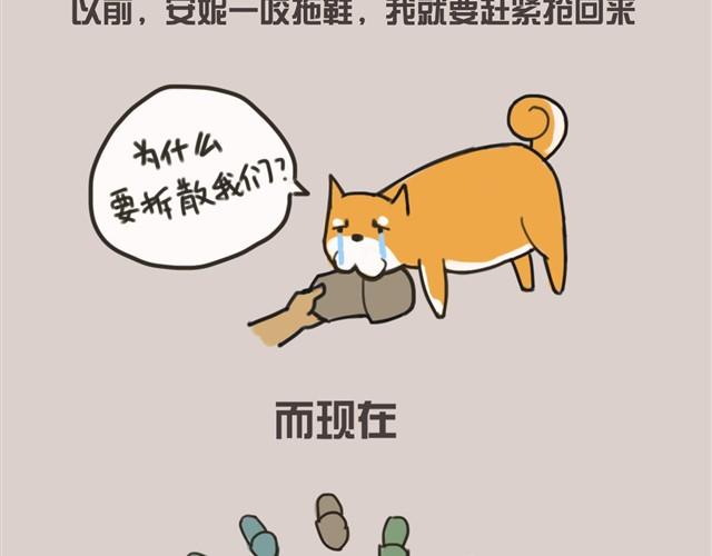 我还是喜欢尿在原来的客厅8