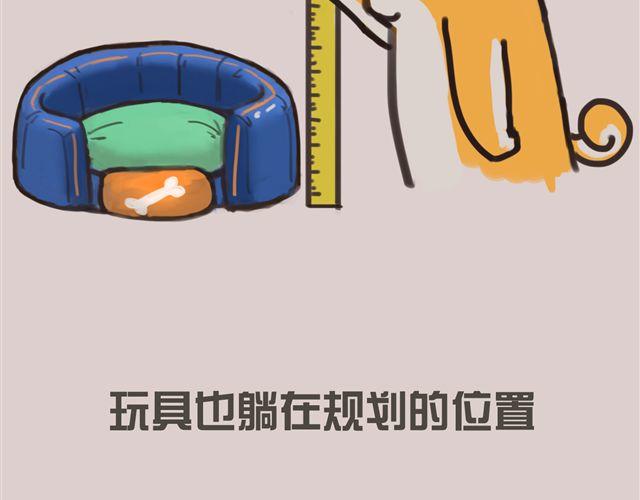 一只沉默的狗22