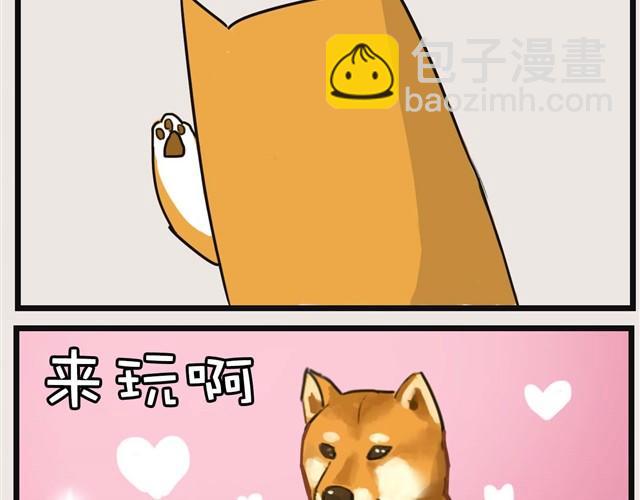 安妮学会握手了！32