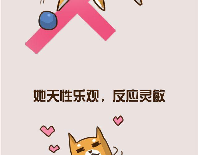 一只沉默的狗1