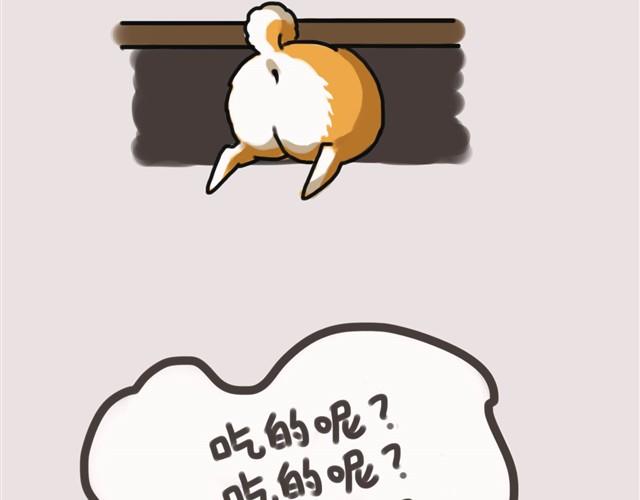 专业守门员安妮2