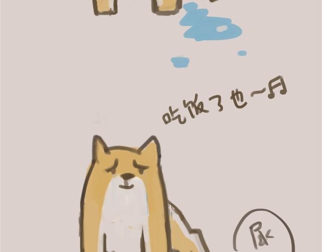 我是大熊，我的柴犬叫安妮31