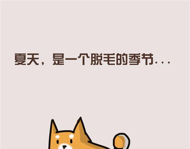 狗狗的喜好真是让人受不了7