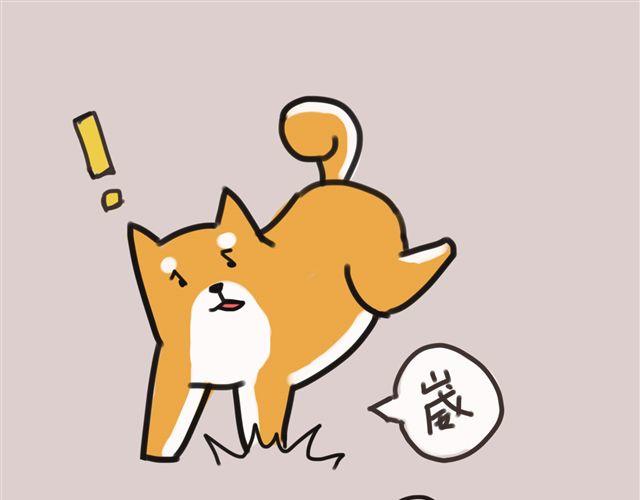 一只沉默的狗14