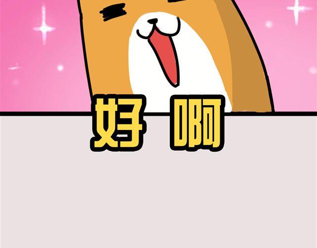 狗狗的喜好真是让人受不了28