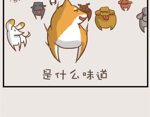 想和大家一起玩48